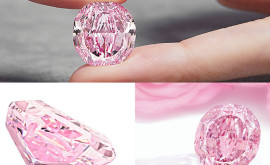 Bất Ngờ : Viên Kim Cương Hồng Với Giá Kỷ Lục Gần 400 Tỷ VNĐ Bất Ngờ : Viên Kim Cương Hồng Với Giá Kỷ Lục Gần 400 Tỷ VNĐ