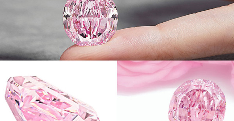 Bất Ngờ : Viên Kim Cương Hồng Với Giá Kỷ Lục Gần 400 Tỷ VNĐ Bất Ngờ : Viên Kim Cương Hồng Với Giá Kỷ Lục Gần 400 Tỷ VNĐ