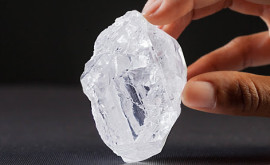 Hình dạng của viên kim cương tự nhiên là gì? Và tại sao việc cắt gọt kim cương lại đóng một vai trò quan trọng? Hình dạng của viên kim cương tự nhiên là gì? Và tại sao việc cắt gọt kim cương lại đóng một vai trò quan trọng?