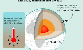 Viên kim cương lâu đời và hiếm nhất thế giới Viên kim cương lâu đời và hiếm nhất thế giới