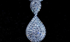 Vì sao nhẫn cưới đeo trên ngón tay trái thứ 4 Vì sao nhẫn cưới đeo trên ngón tay trái thứ 4