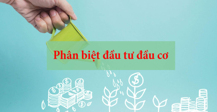 Lựa chọn mua kim cương để tạo lợi nhuận là đầu tư hay đầu cơ? Lựa chọn mua kim cương để tạo lợi nhuận là đầu tư hay đầu cơ?