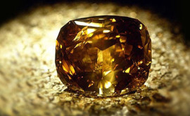 Nhẫn Cầu Hôn: Đắt Hay Rẻ Là Do Bạn Quyết Định Nhẫn Cầu Hôn: Đắt Hay Rẻ Là Do Bạn Quyết Định