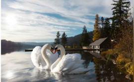 Gợi Ý Quà Valentine Cho Crush Rung Động Tuyệt Đối 2025 Gợi Ý Quà Valentine Cho Crush Rung Động Tuyệt Đối 2025